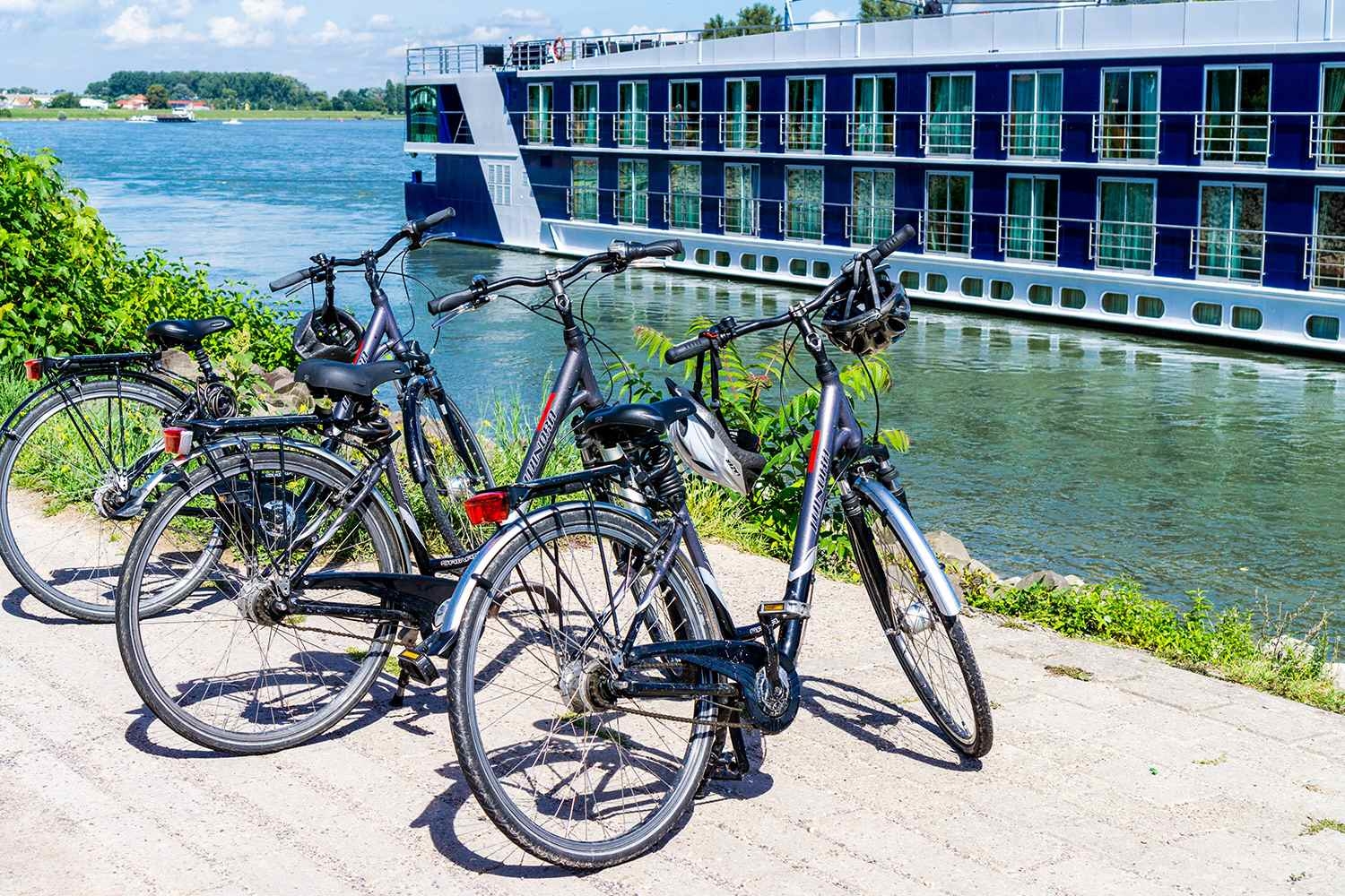Onboard Bikes