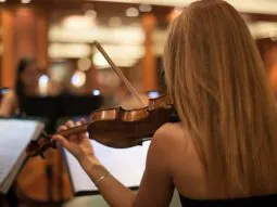 Música en Vivo 